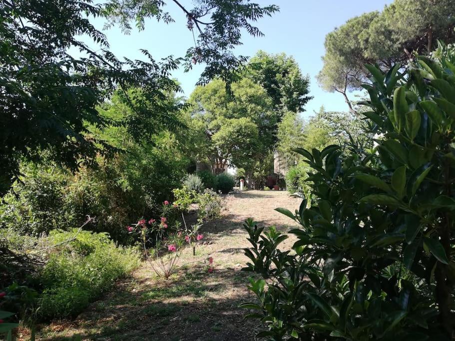 Apartamento Roma, Roma